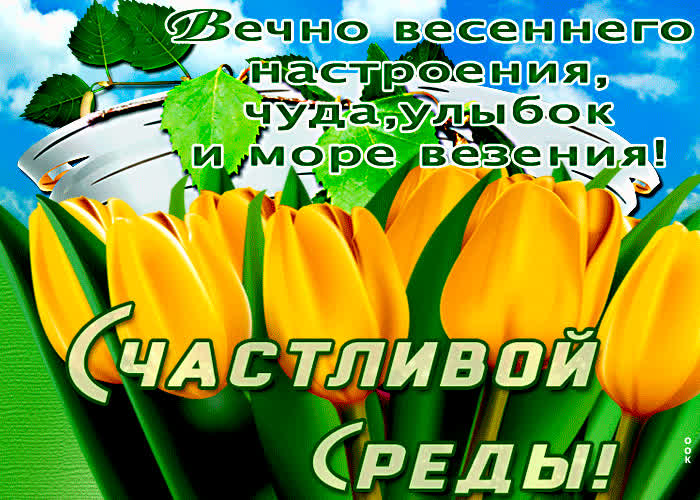 Открытки
